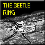 go to the Beetle Ring's home page