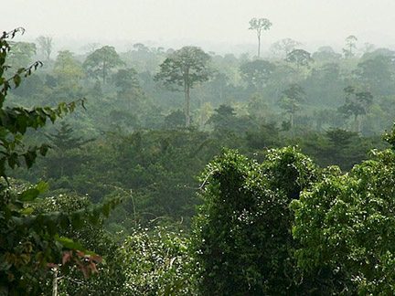 Kakum National Park - Ghana