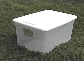 Large plastic box suitable for beetles - Image  C. Campbell