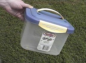 Small plastic box suitable for beetles - Image  C. Campbell