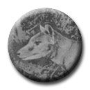 go to: Burrell's Thylacine Photographs