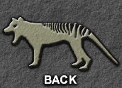 back to: Prehistoric Range of the Thylacine (page 3)