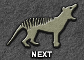 forward to: Alleged Mainland Thylacine Sightings (page 2)