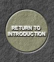 return to the introduction