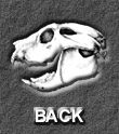 back to: Australia and the Marsupials (page 7)