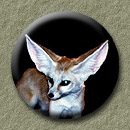 go to:  Fennec fox