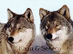 Karin and Seneca - Image  Monty Sloan