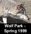 go to Wolf Park - Spring '99 (images  C. Campbell)